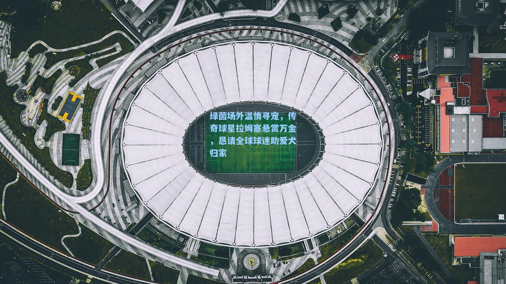 绿茵场外温情寻宠,传奇球星拉姆塞悬赏万金,恳请全球球迷助爱犬归家