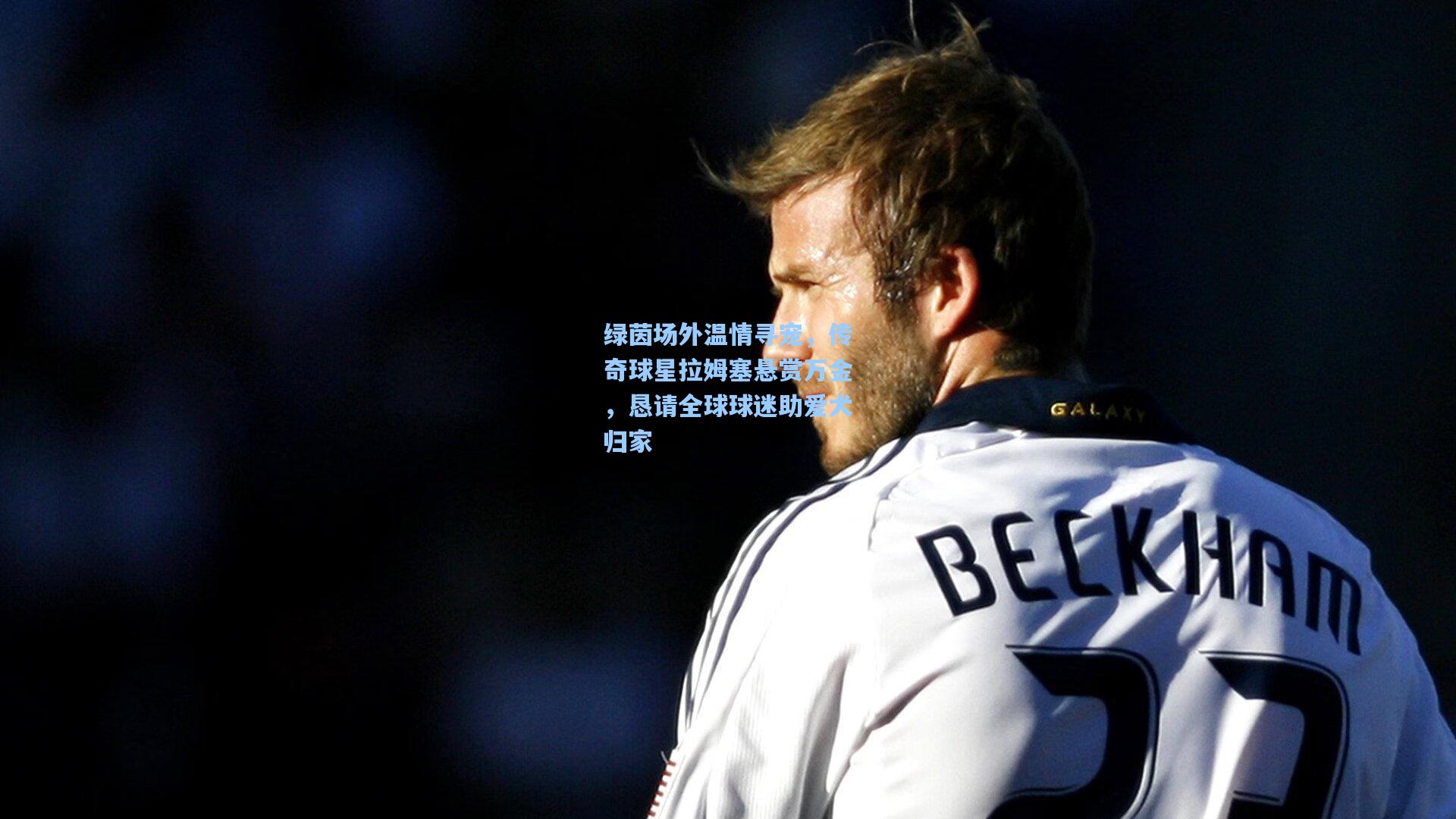 绿茵场外温情寻宠,传奇球星拉姆塞悬赏万金,恳请全球球迷助爱犬归家